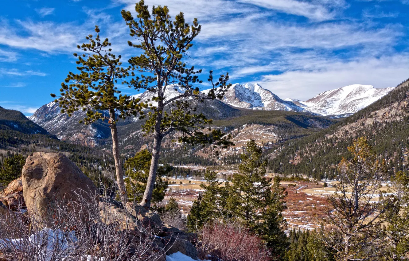 Photo wallpaper forest, the sky, clouds, snow, trees, mountains, stones, valley