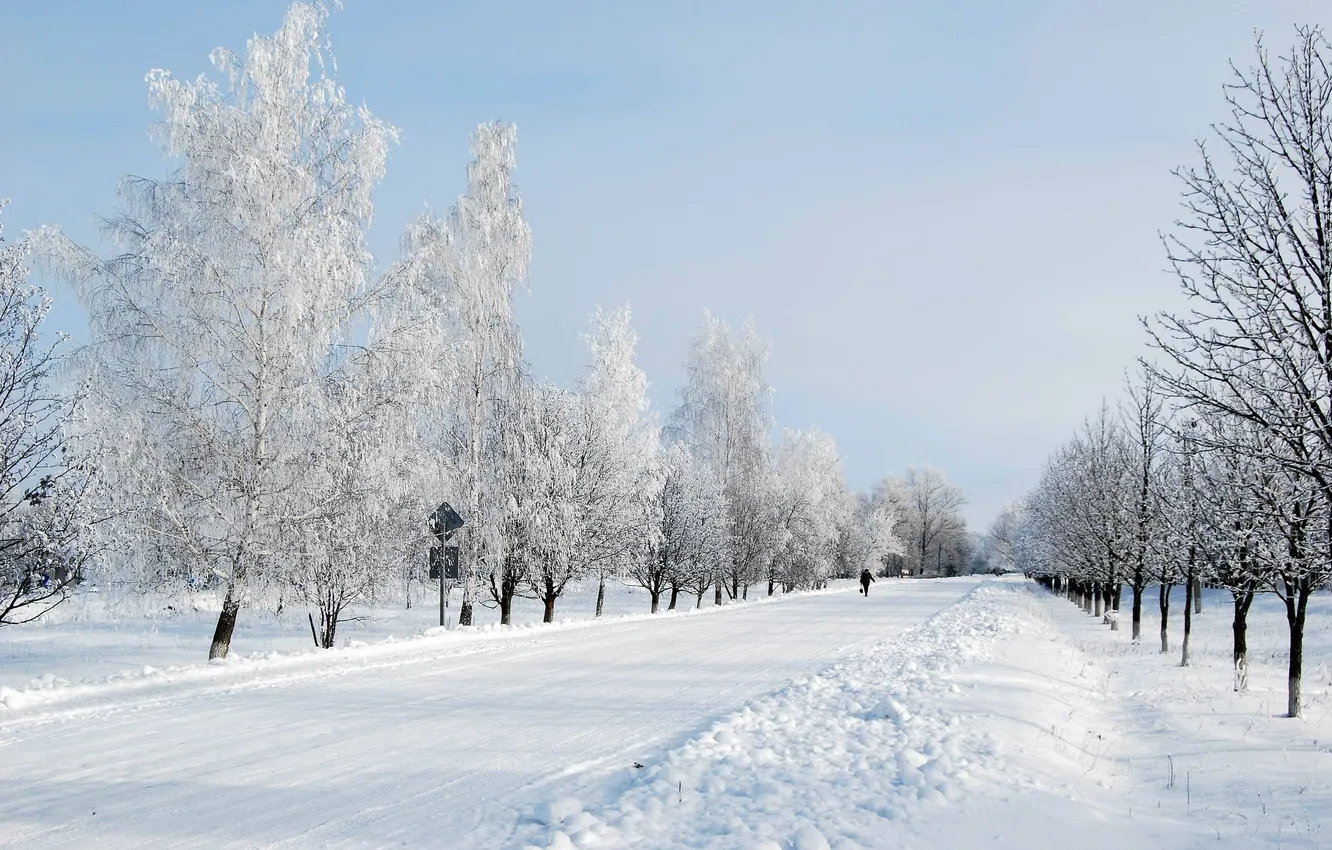 Photo wallpaper road, snow, trees, blue, Winter