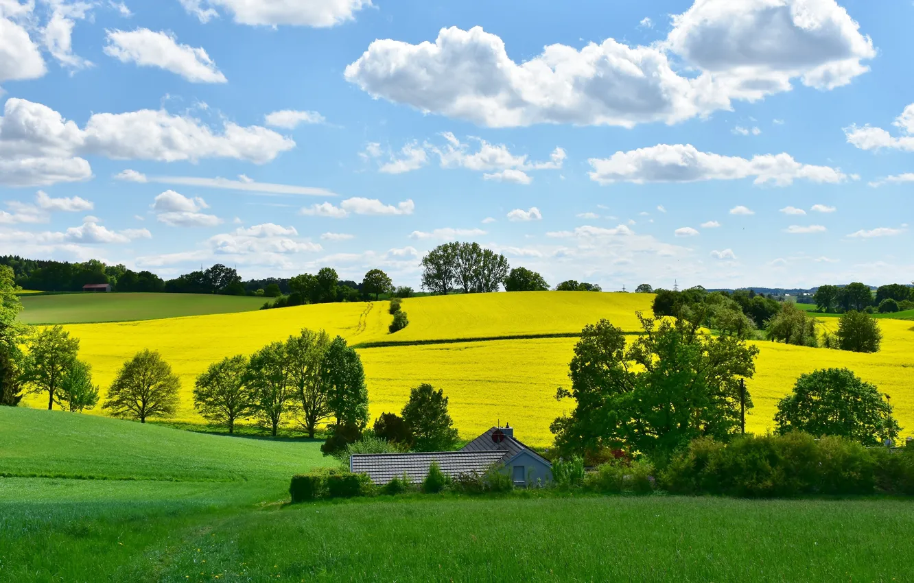 Photo wallpaper field, yellow, hills, spring, meadow, house, rape, rapeseed field