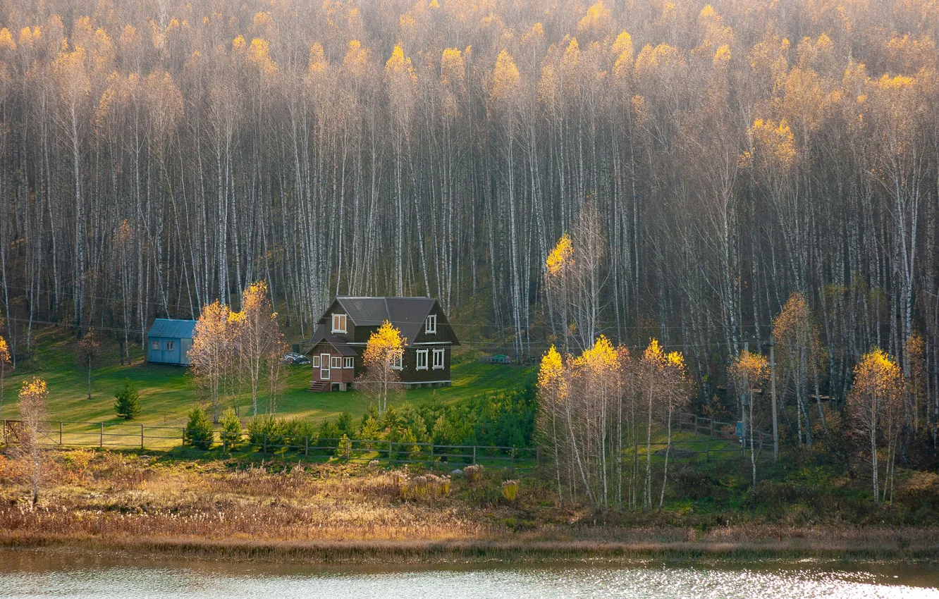 Photo wallpaper autumn, forest, house