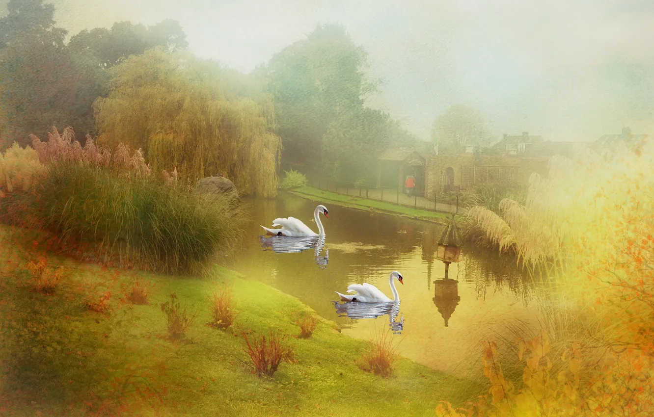 Photo wallpaper lake, style, swans