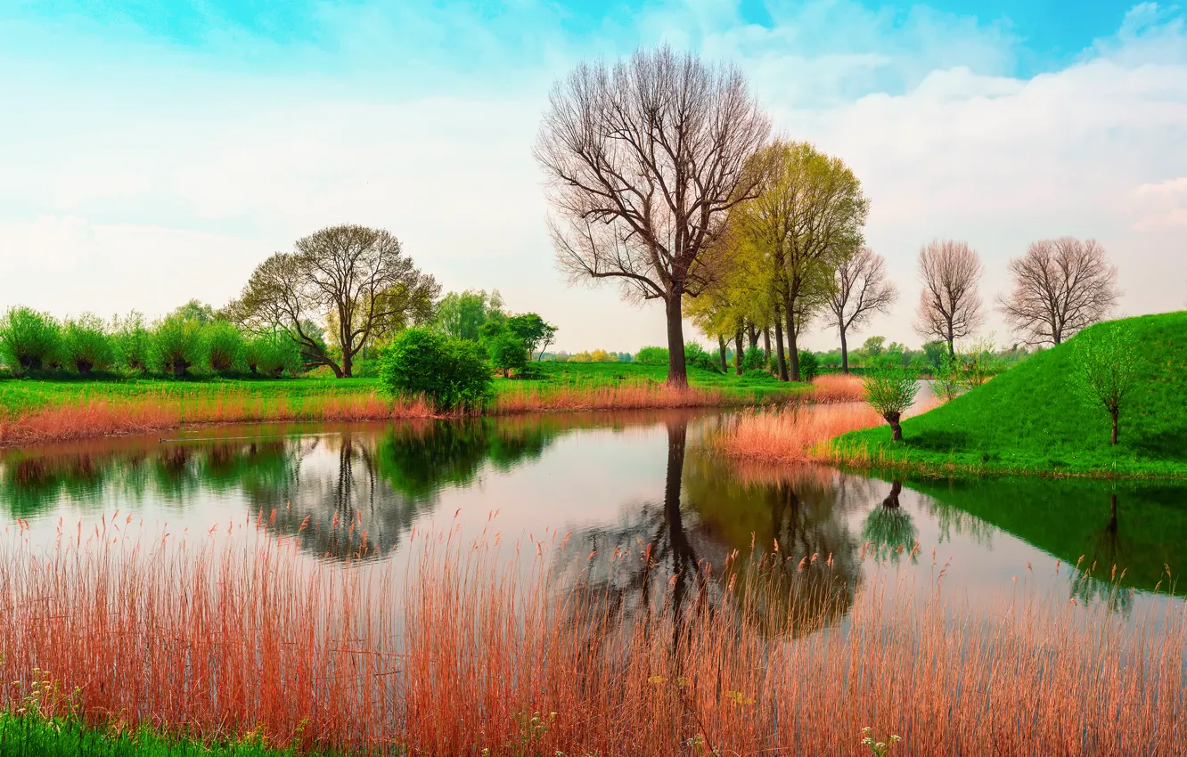 Photo wallpaper nature, England, spring, may