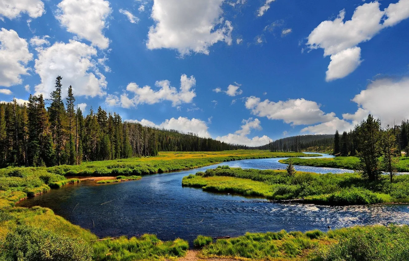 Photo wallpaper forest, the sky, grass, clouds, trees, landscape, nature, river