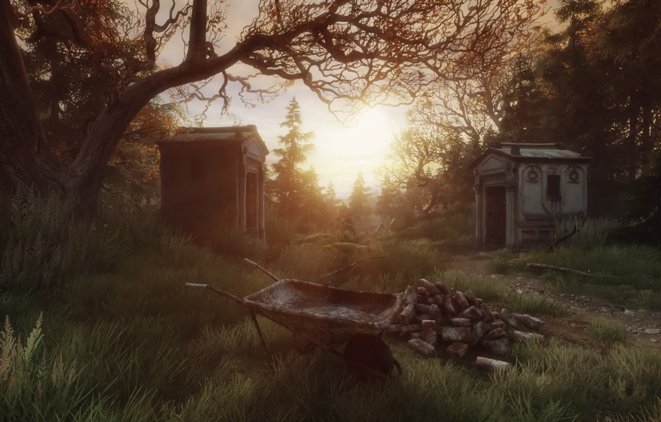Photo wallpaper Sunset, The Vanishing of Ethan Carter, The Astronauts