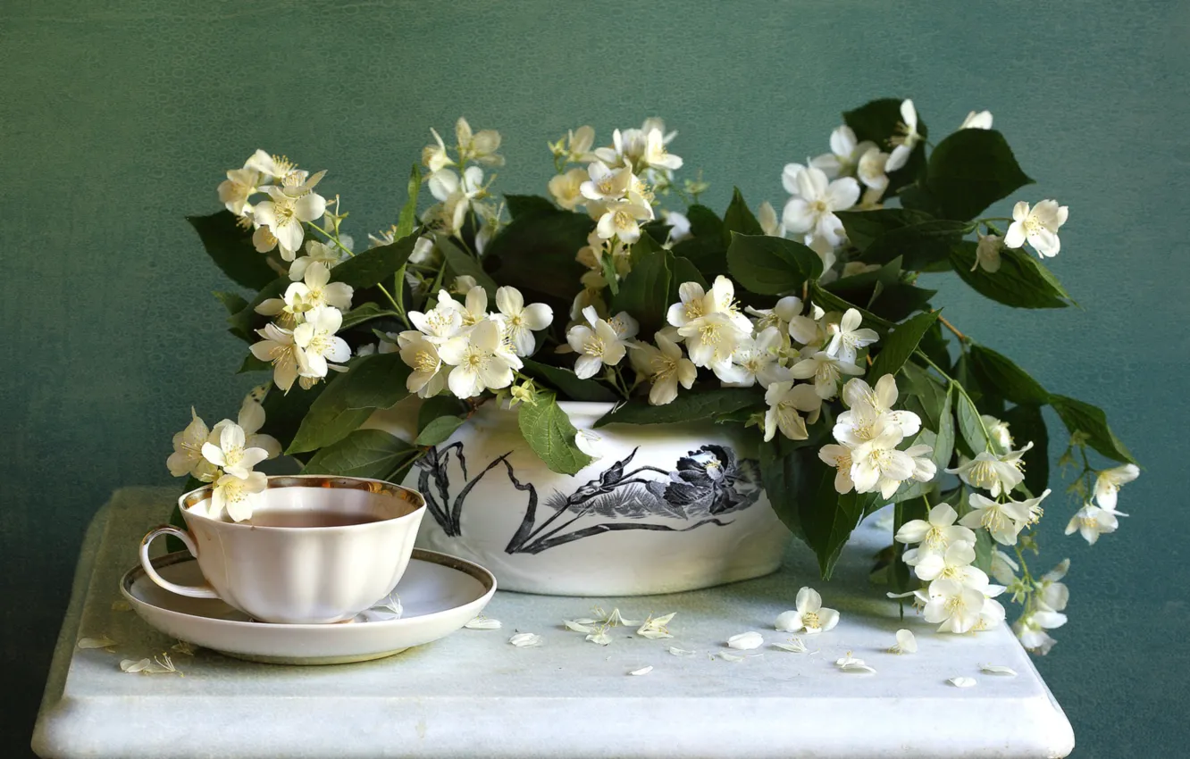 Photo wallpaper tea, bouquet, Jasmine