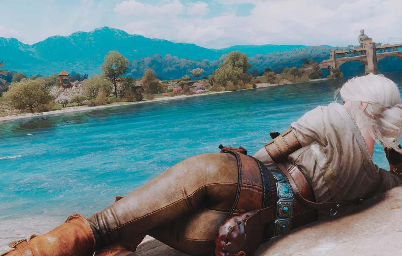 Photo wallpaper girl, art, rear view, the heroine, CRIS, Cirilla Fiona Elen Riannon, Ciri, Witcher 3: Wild …