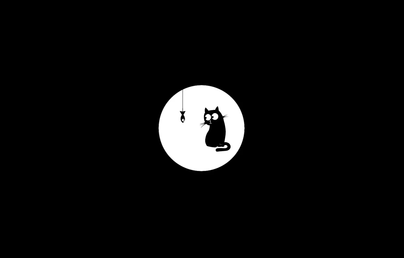 Photo wallpaper cat, black and white, fish, black cat