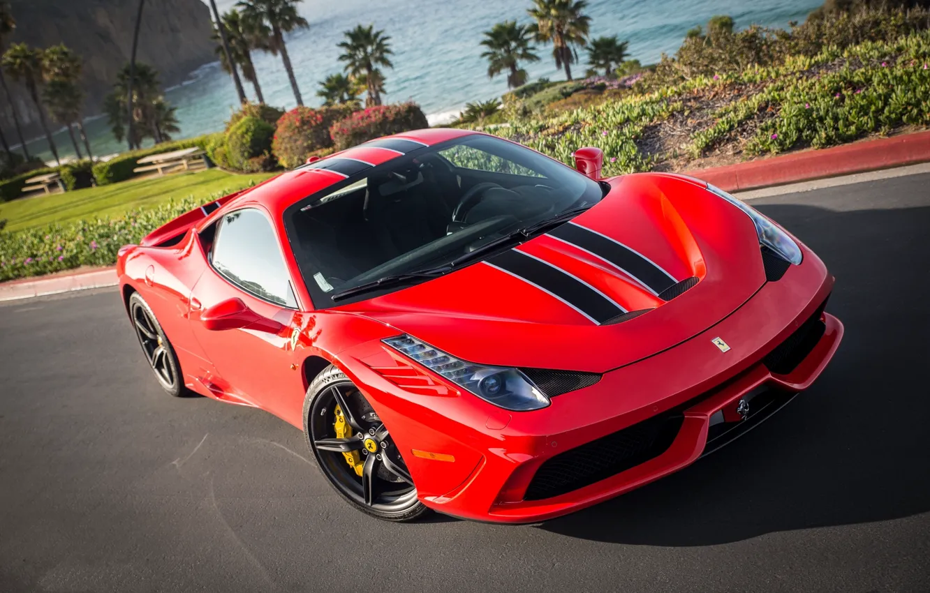 Photo wallpaper flowers, red, palm trees, lawn, red, ferrari, Ferrari, the bushes