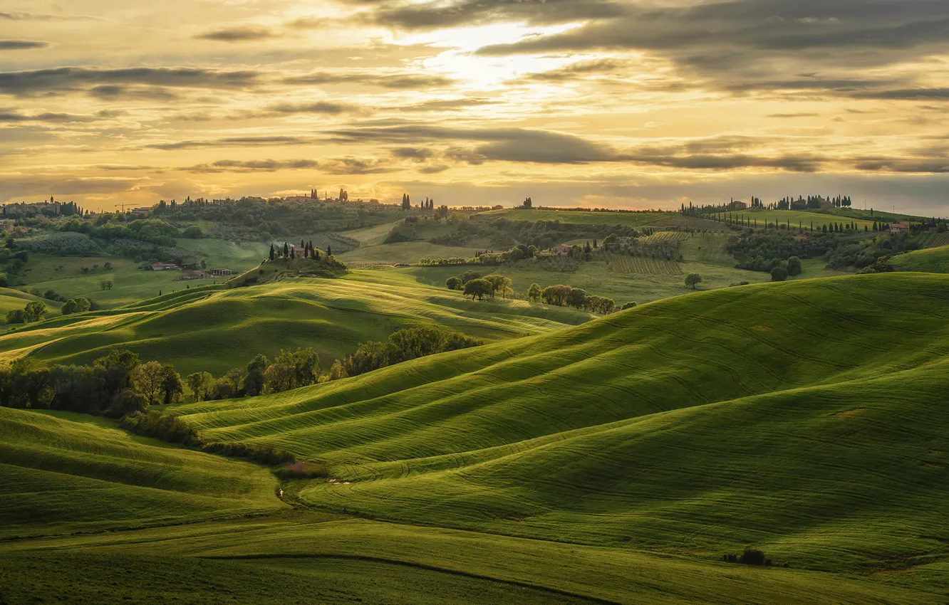 Photo wallpaper hills, field, Italy, Italy, Tuscany, estate, Val dOrcia