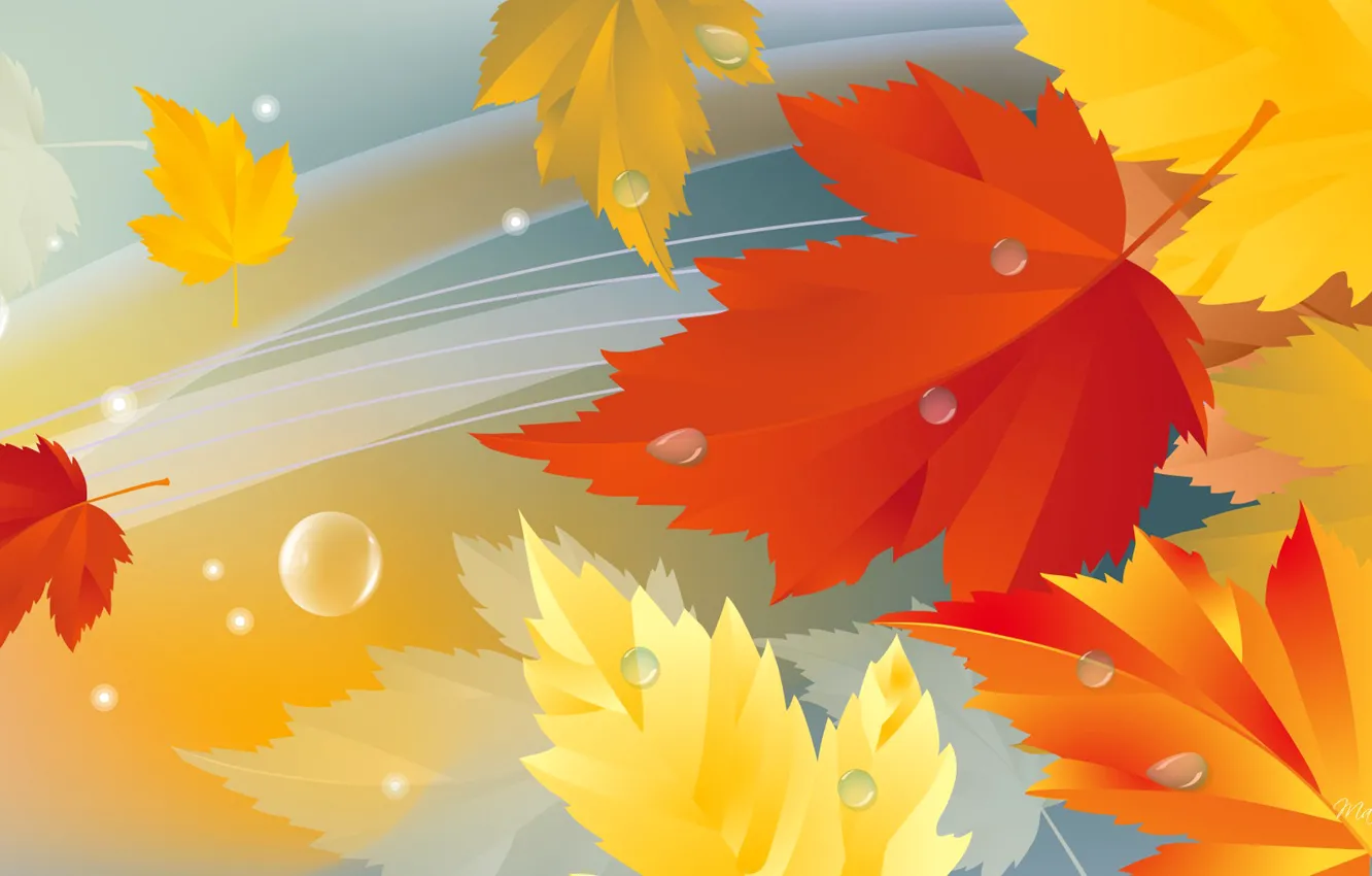 Photo wallpaper autumn, leaves, nature, collage