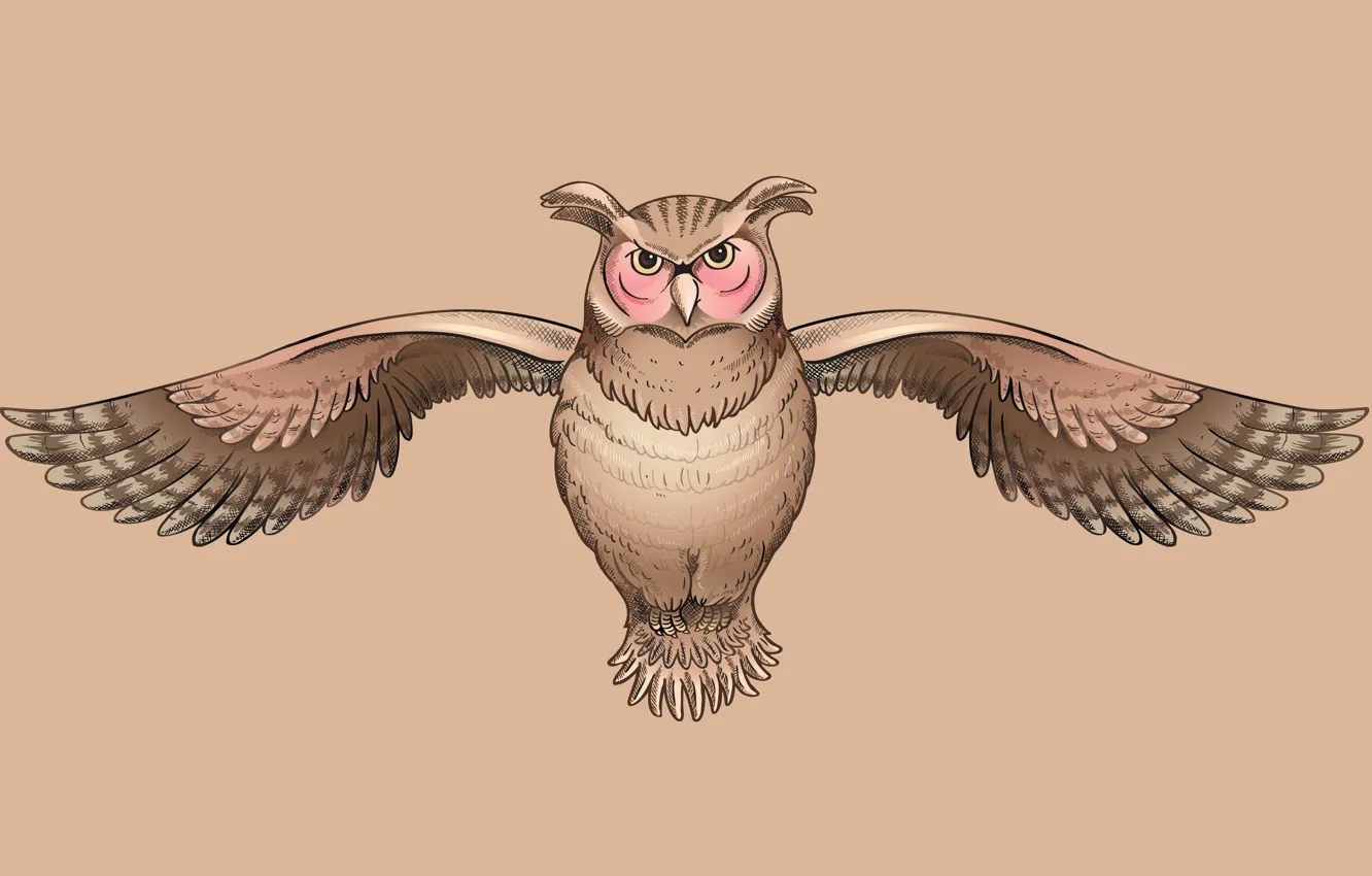 Photo wallpaper owl, bird, owl, wise, cruise