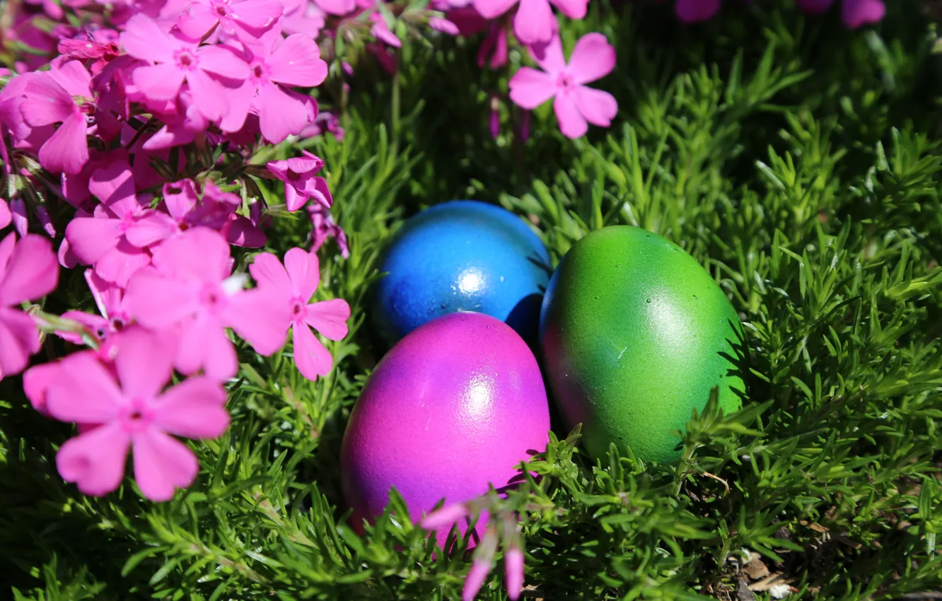 Photo wallpaper grass, flowers, blue, green, holiday, eggs, spring, Easter