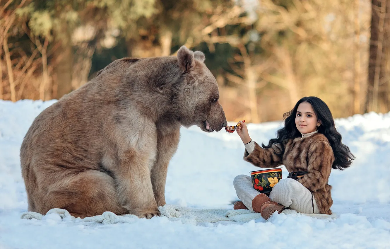 Photo wallpaper winter, light, snow, nature, glade, bear, brunette, spoon