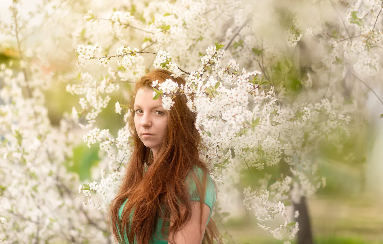 Photo wallpaper girl, flowers, spring, cherry blossoms