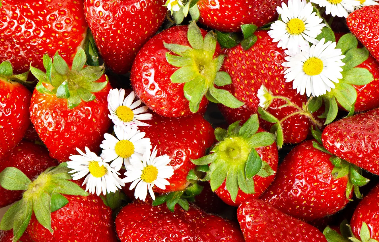 Photo wallpaper flowers, berries, strawberry