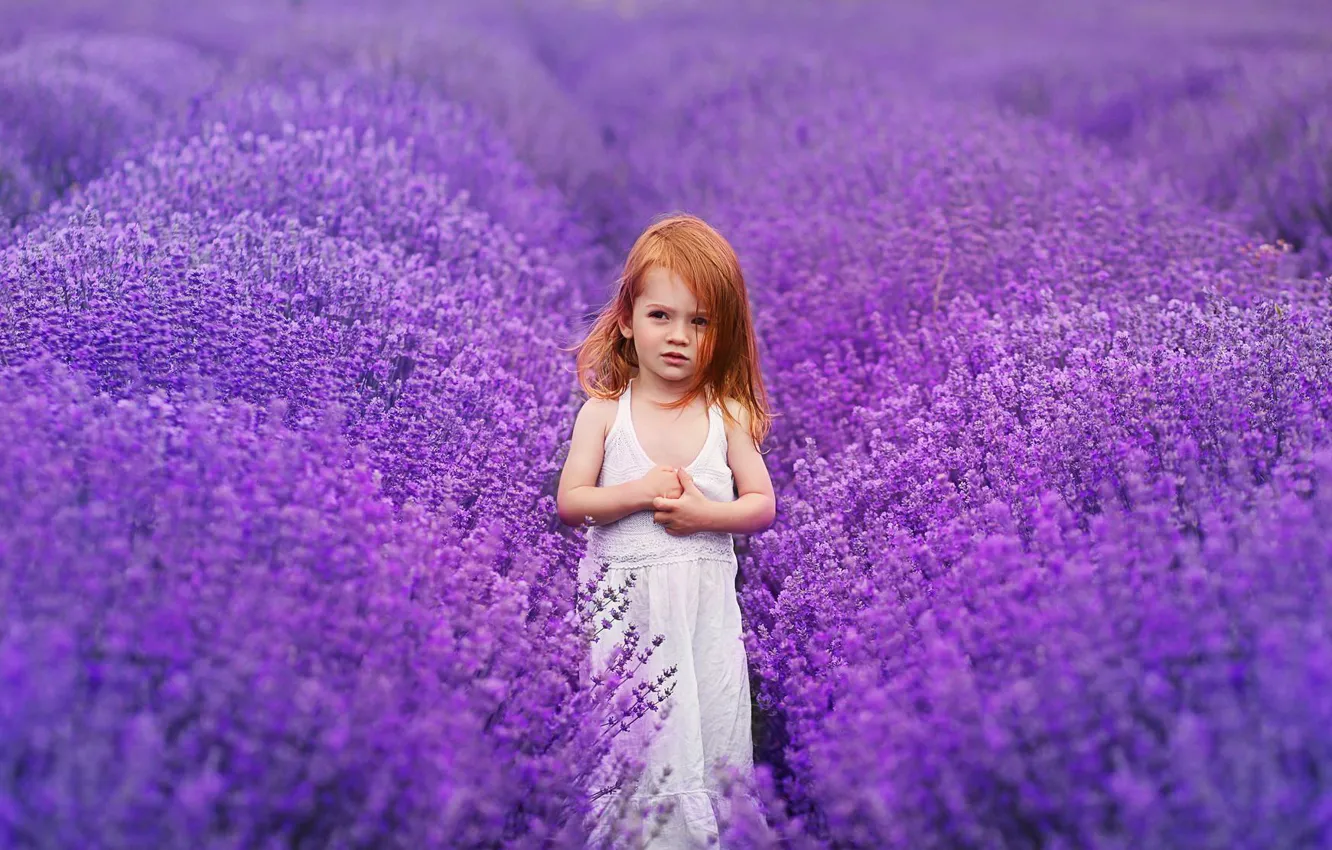Photo wallpaper field, flowers, dress, girl, lavender