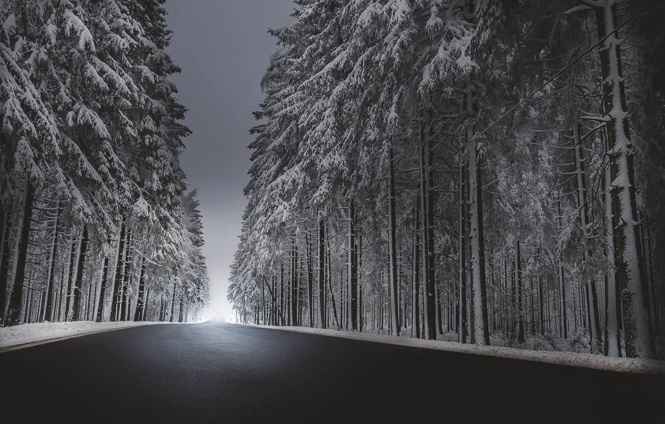 Photo wallpaper winter, road, forest