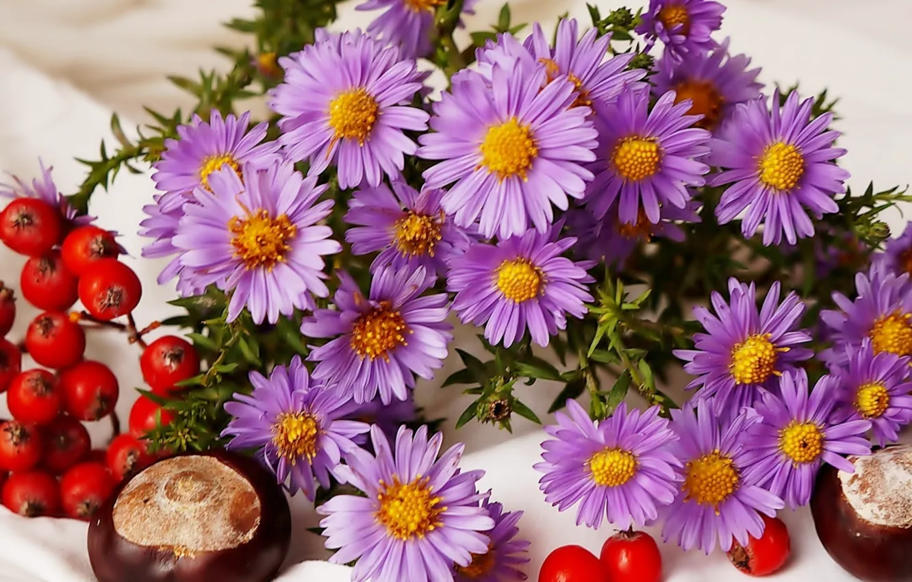 Photo wallpaper flower, autumn, composition