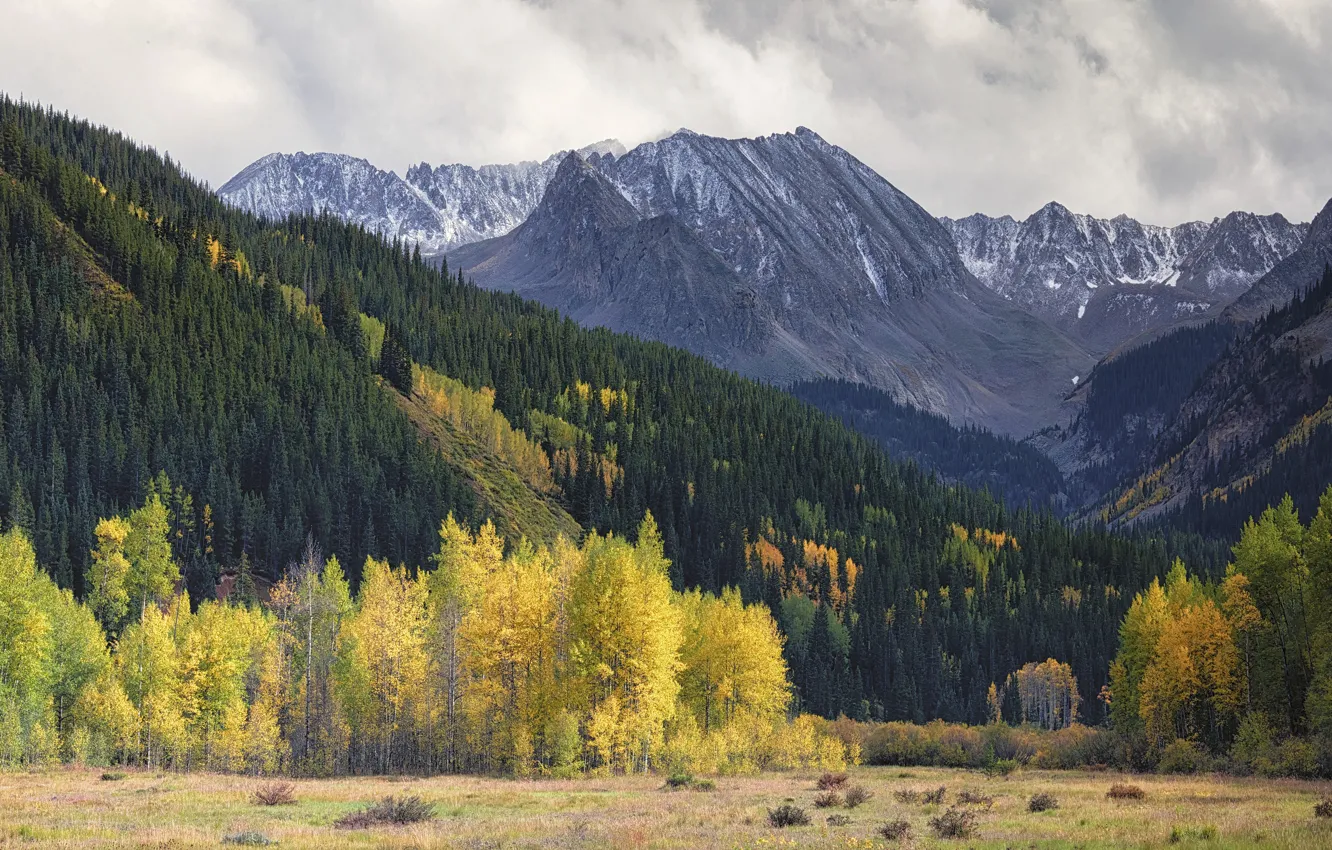 Photo wallpaper field, autumn, forest, the sky, clouds, snow, trees, mountains
