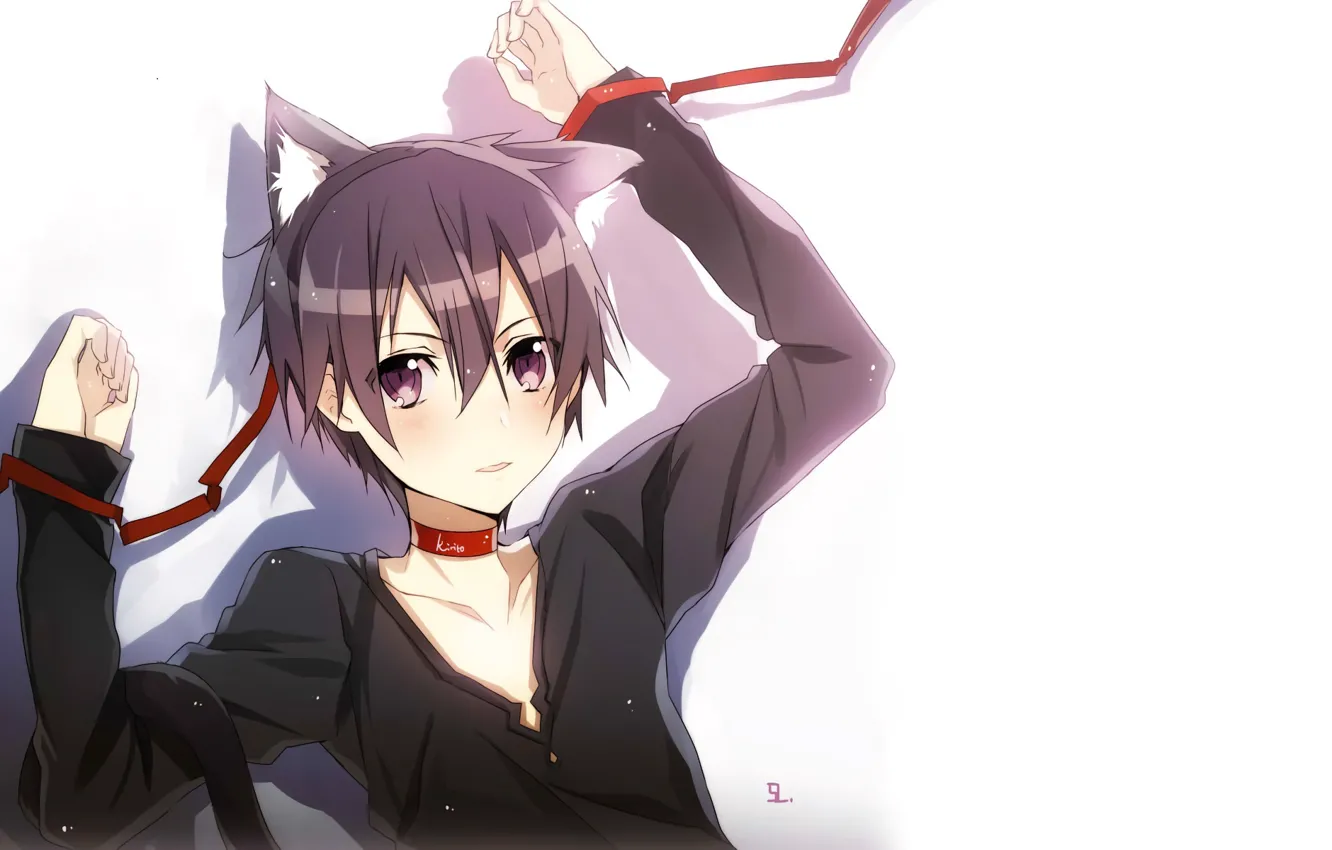Photo wallpaper cat, anime, art, guy, sword art online, sword art online, kirito