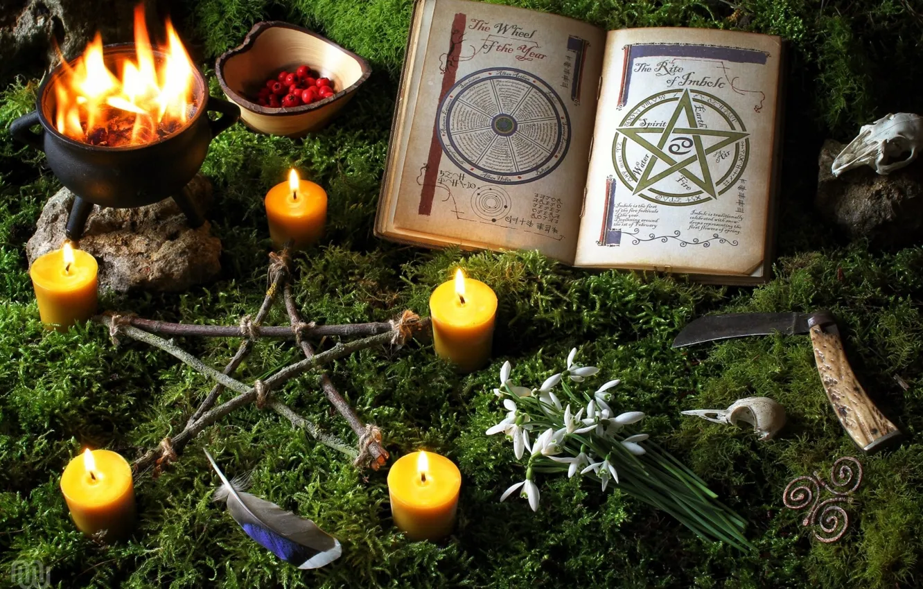 Photo wallpaper fire, skull, moss, candles, feathers, snowdrops, knife, book