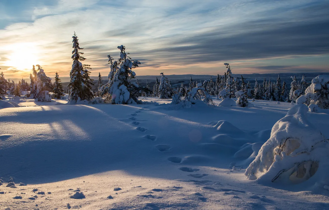 Photo wallpaper winter, snow, traces, ate, Norway, Norway