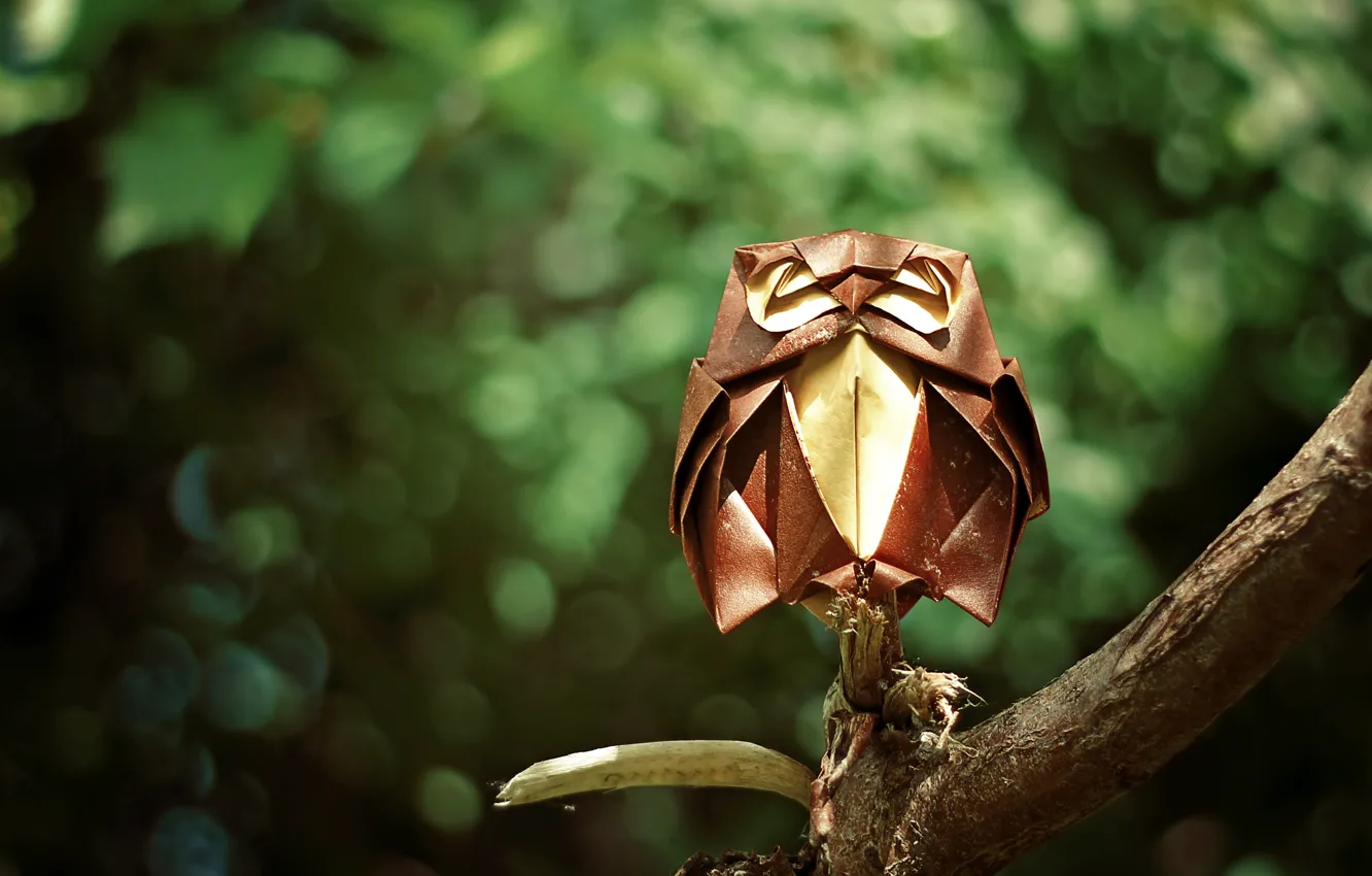 Photo wallpaper forest, owl, branch, forest, origami, origami, branch, owl