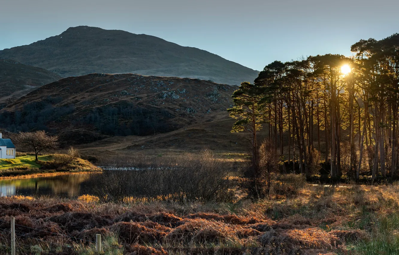 Photo wallpaper shore, home, panorama, mansion, pond, pine
