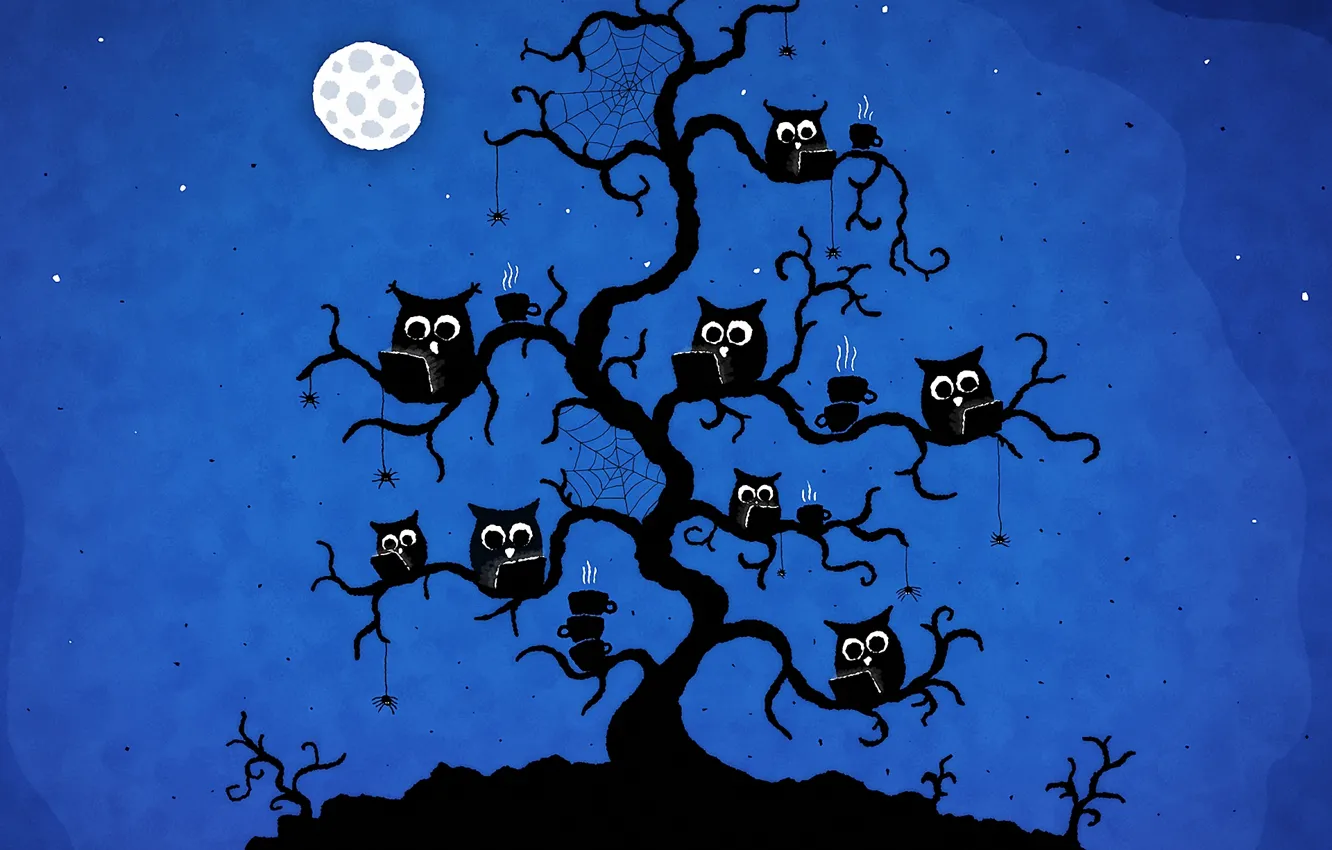 Photo wallpaper trees, night, owl, bird, coffee, web, vladstudio, spider
