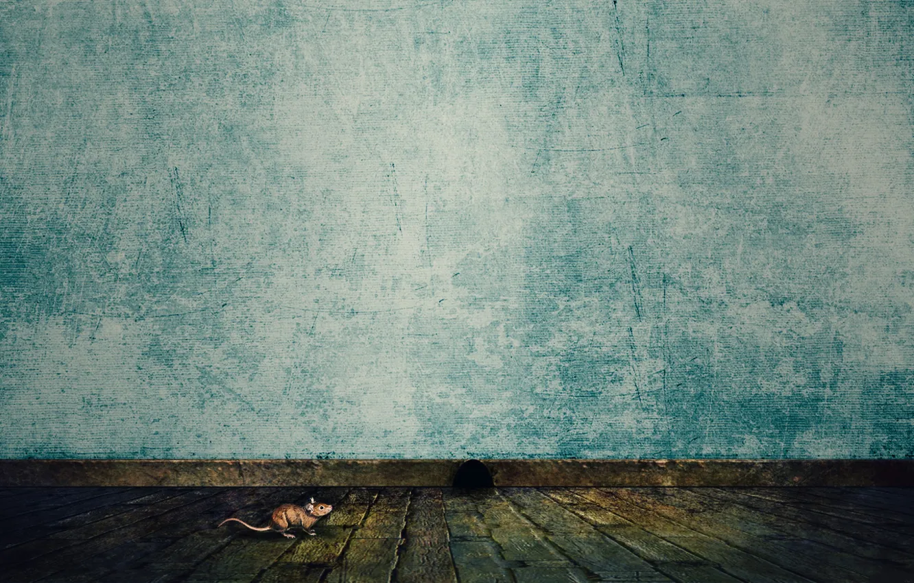 Photo wallpaper wall, minimalism, mouse, floor