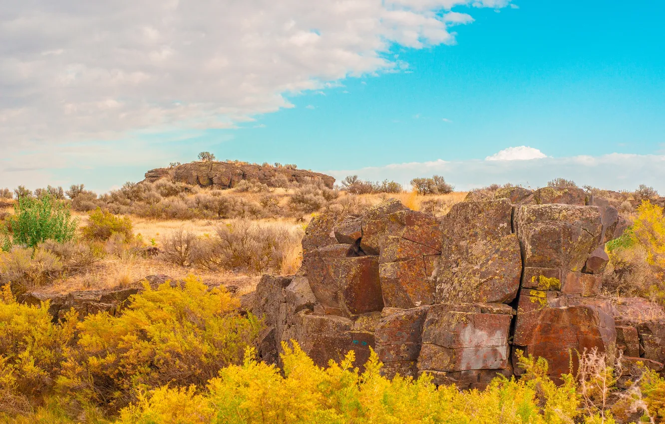 Photo wallpaper autumn, the sky, grass, clouds, stones, rocks, hills, the bushes