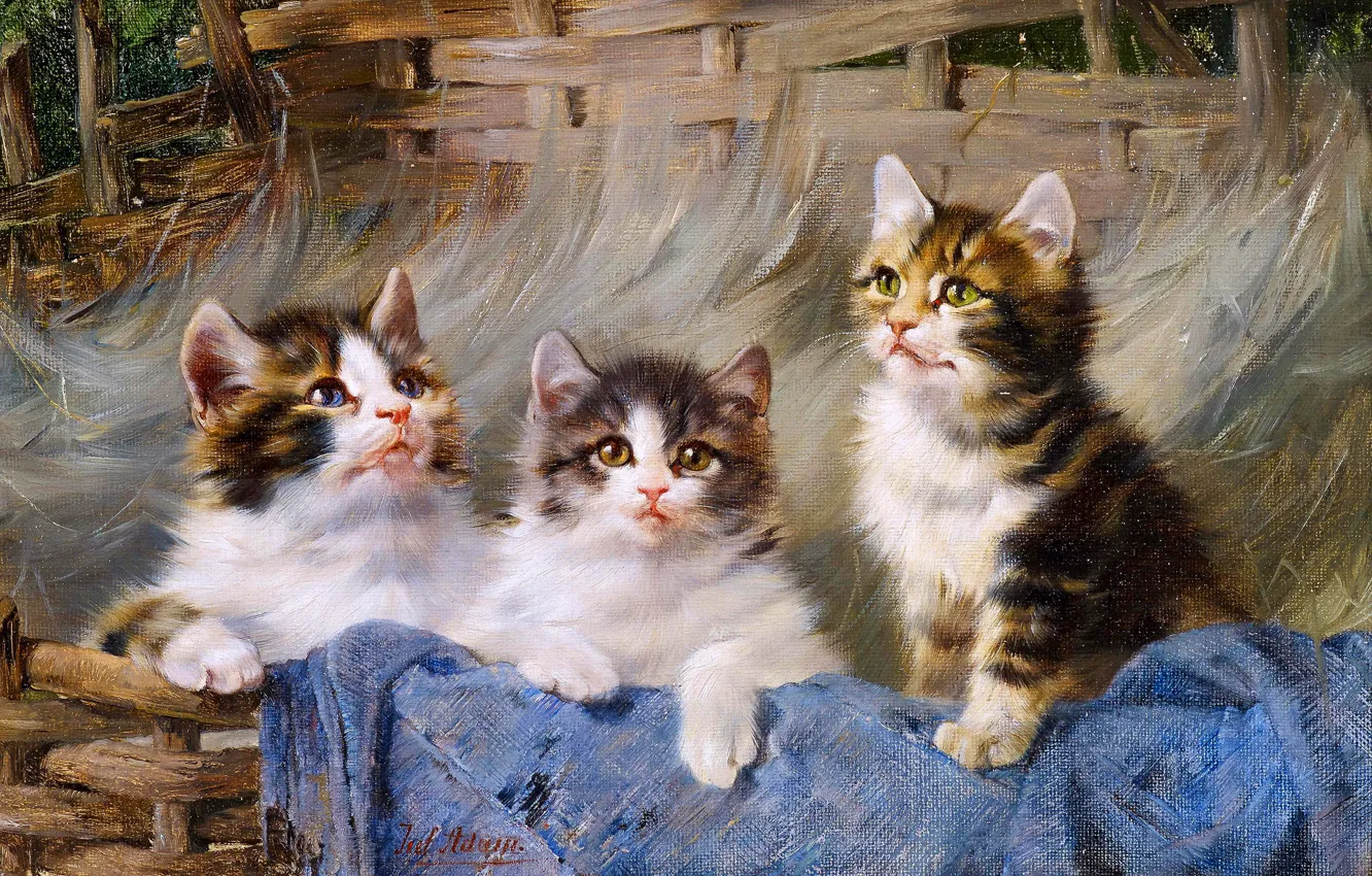 Photo wallpaper look, picture, pussy, kitty, three, three kittens, German painter, Julius Anton Adam