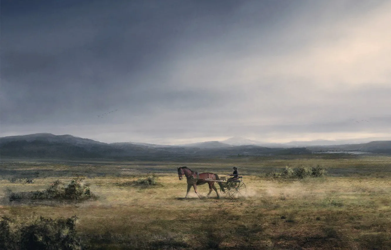 Photo wallpaper figure, Horse, plain, wagon