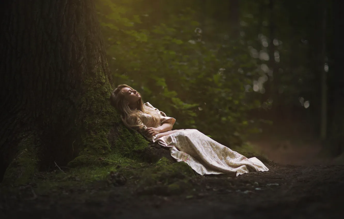 Photo wallpaper forest, girl, tree, stay, dress, Marketa Novak, In forest