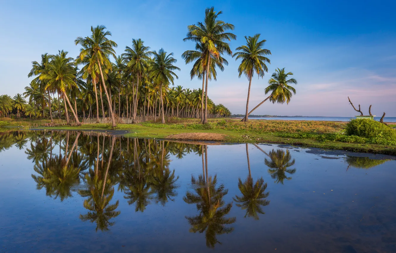 Photo wallpaper sea, landscape, reflection, palm trees