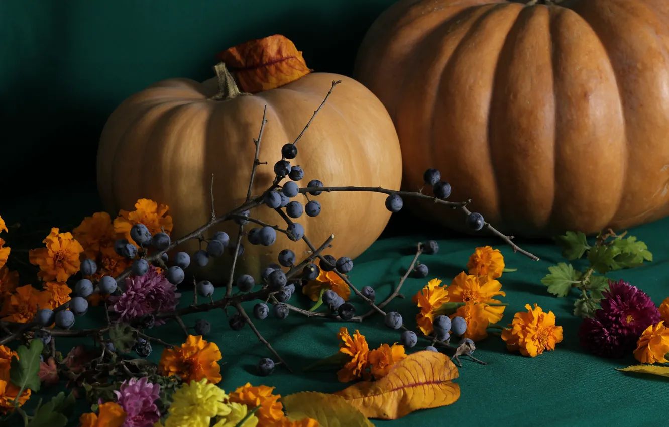 Photo wallpaper autumn, flowers, branch, harvest, fruit, grapes, pumpkin, still life