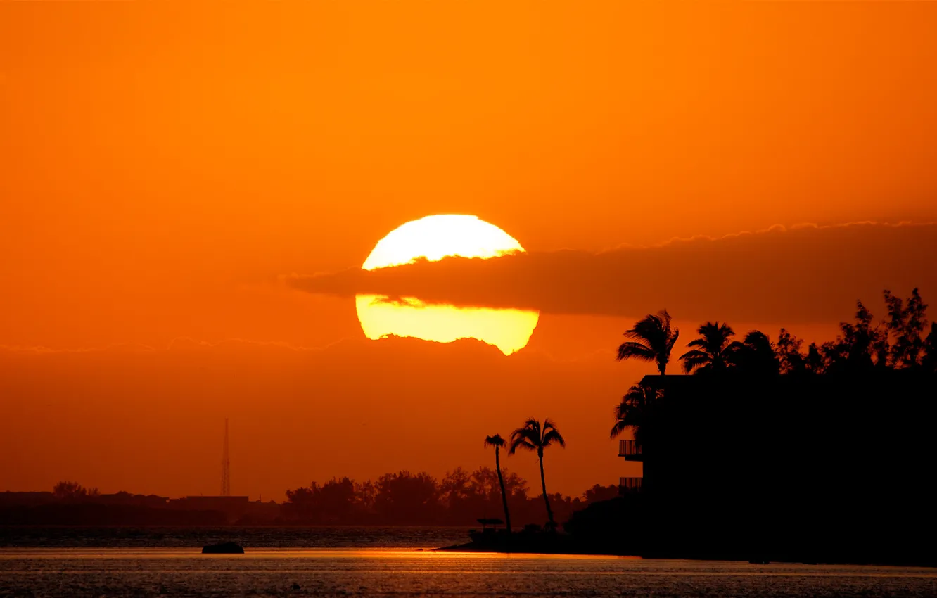 Photo wallpaper sea, the sun, sunset, clouds, palm trees