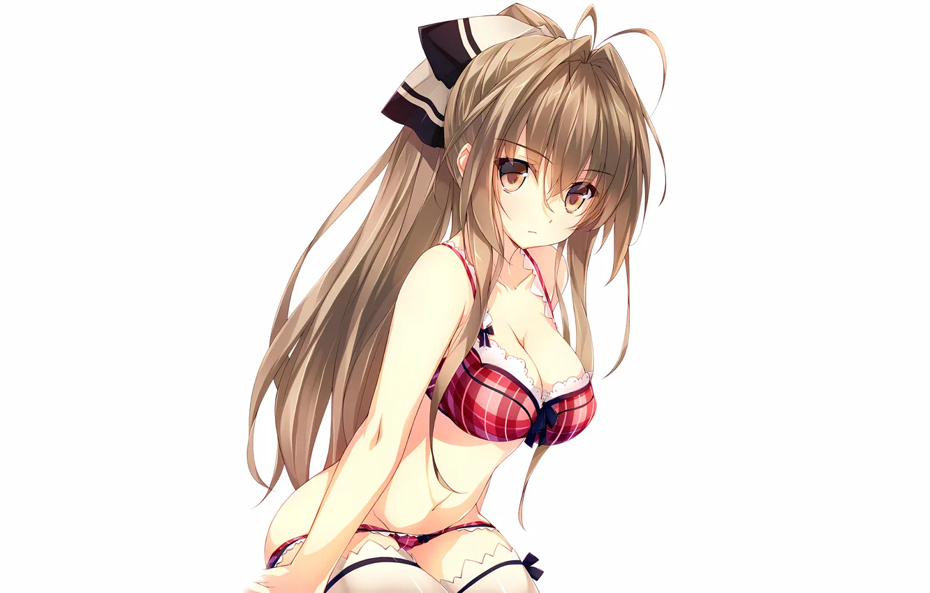 Photo wallpaper girl, sexy, lingerie, bra, cleavage, panties, thighhighs, long hair