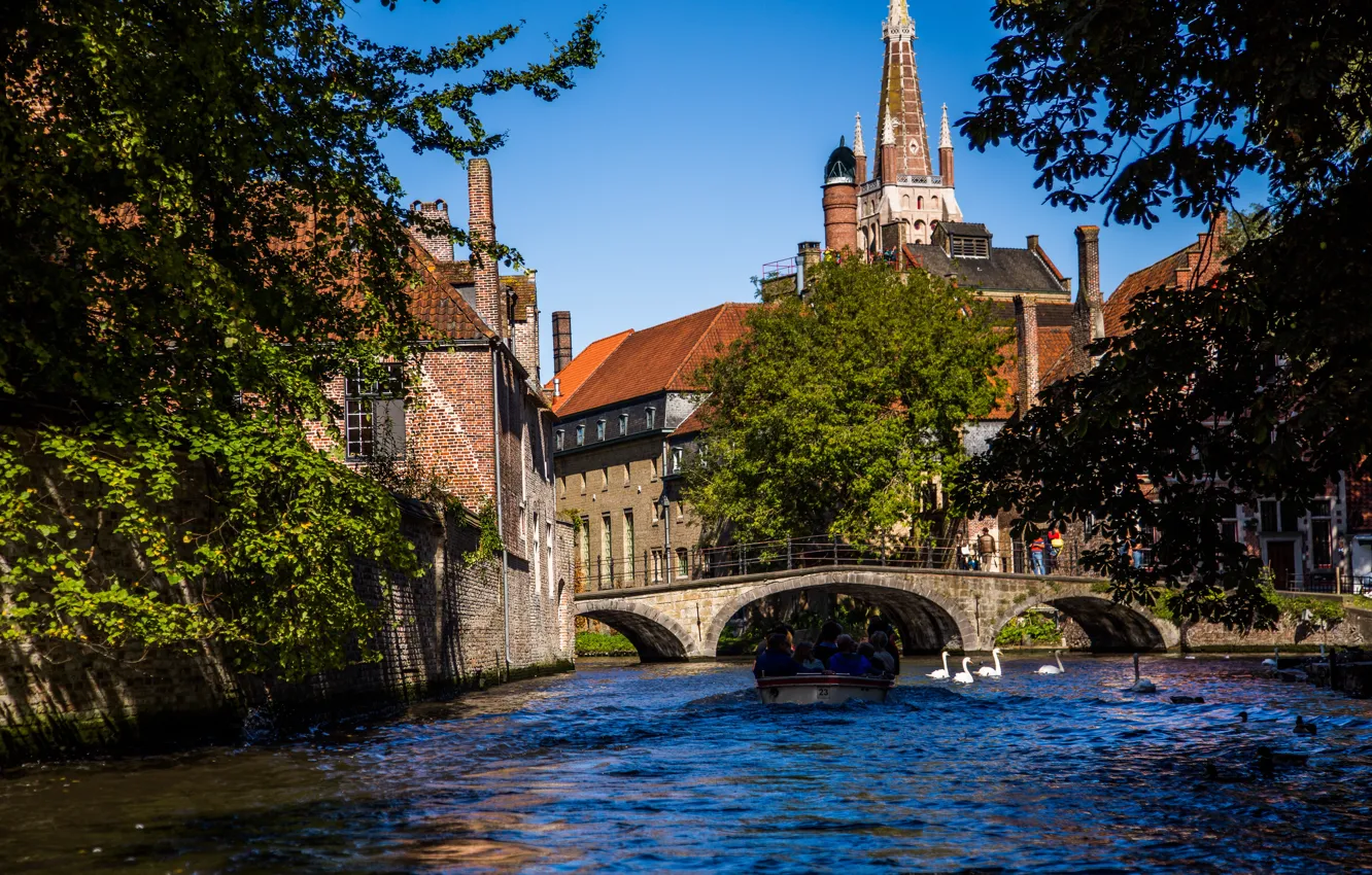Photo wallpaper bridge, the city, bird, boat, home, channel, Belgium, swans