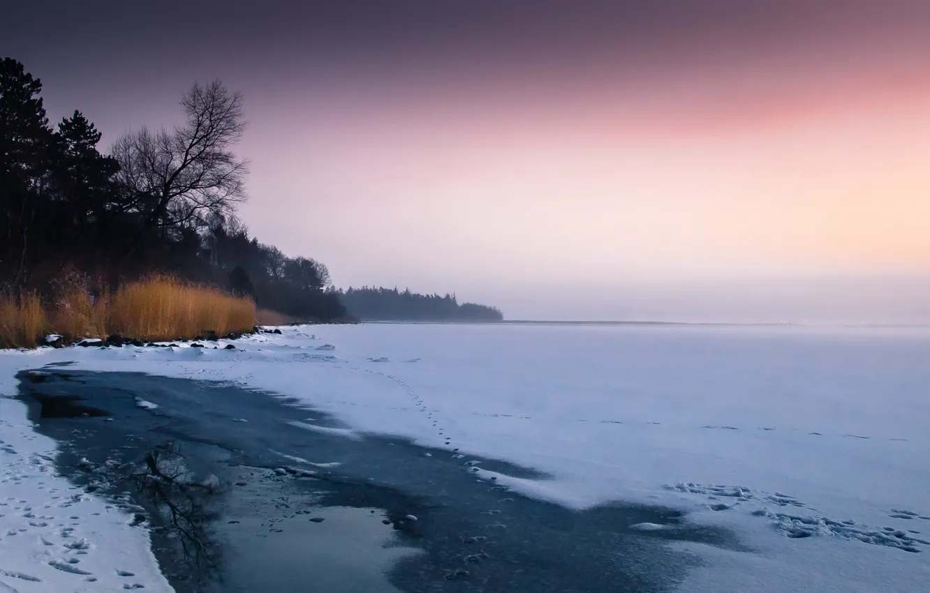 Photo wallpaper winter, lake, shore