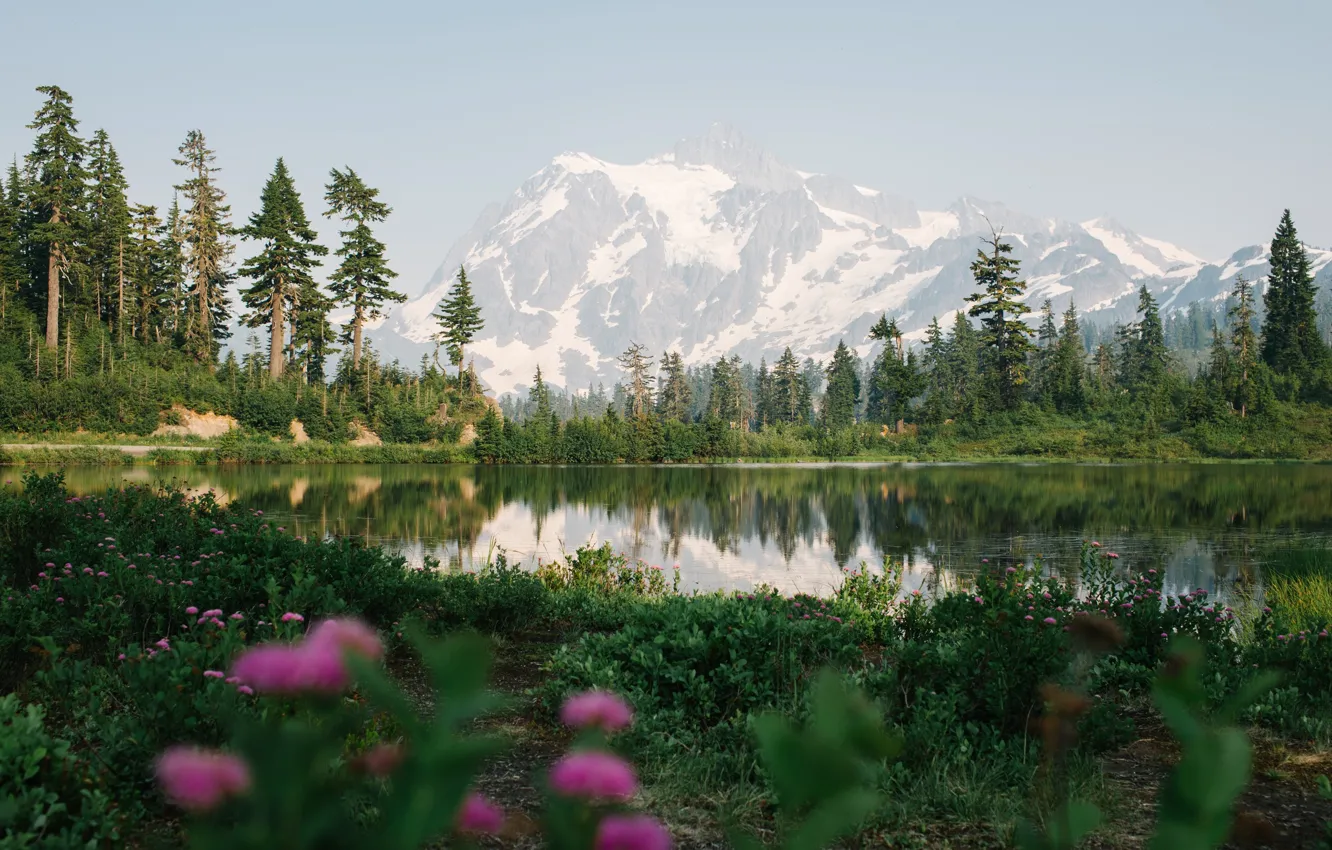 Photo wallpaper trees, flowers, mountains, lake, snow in the mountain