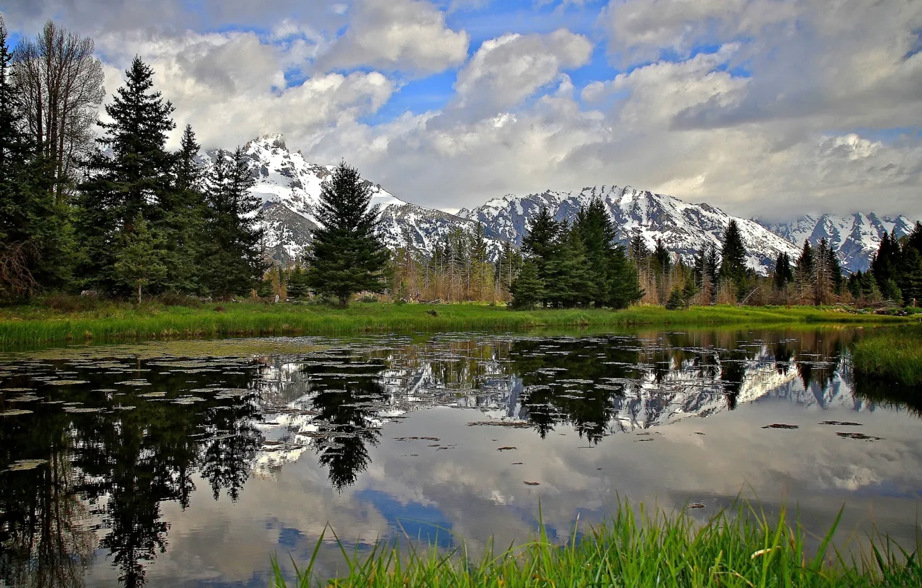 Photo wallpaper the sky, clouds, snow, trees, mountains, lake, spruce