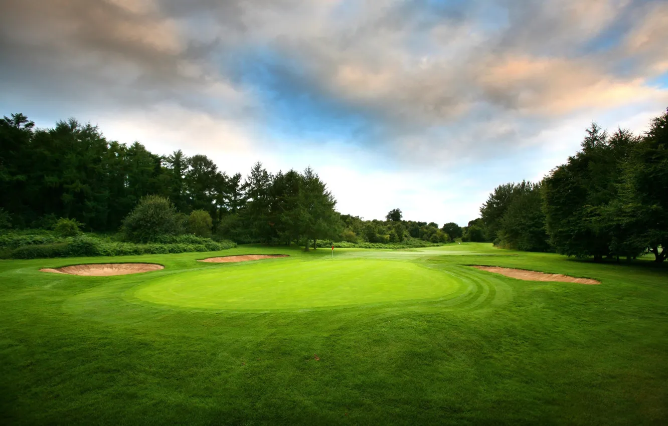 Photo wallpaper field, trees, for, Golf
