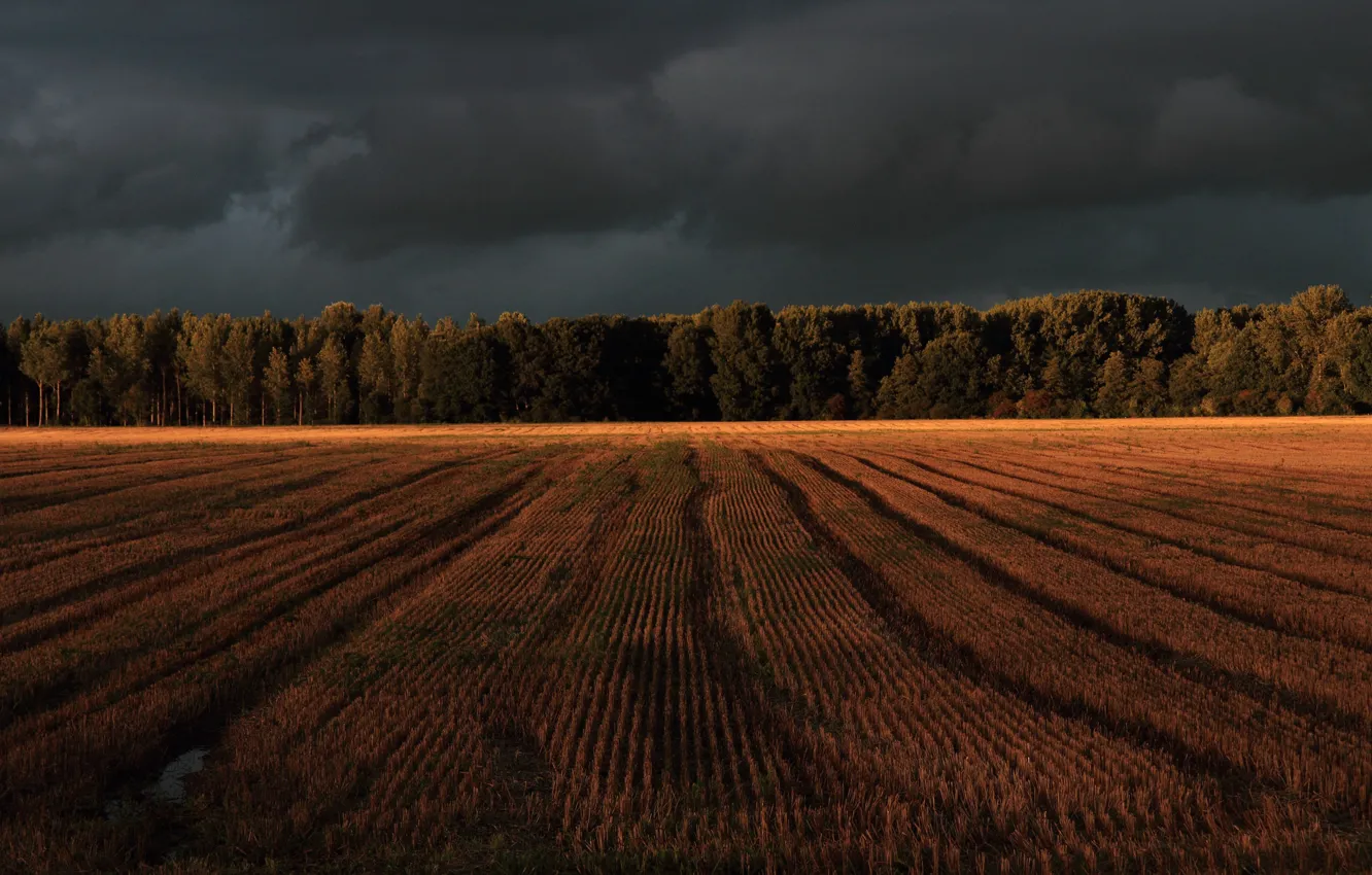 Photo wallpaper field, clouds, clearing, storm clouds