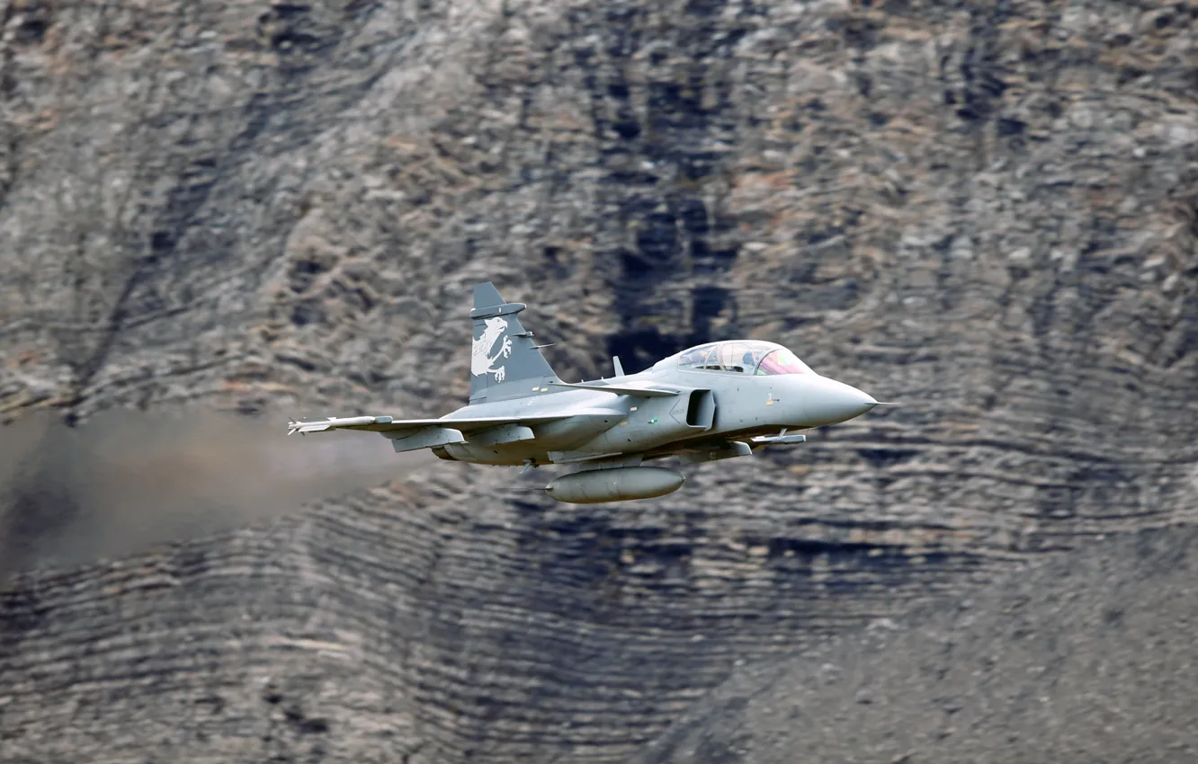 Photo wallpaper You can, JAS 39 Gripen, Swedish multi-role fighter fourth generation