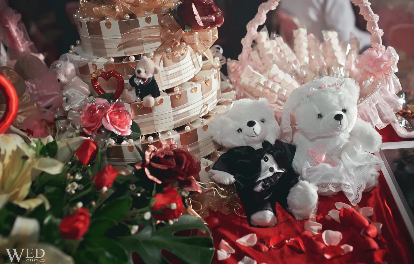 Photo wallpaper design, toy, roses, bear, bear, the bride, wedding, the groom