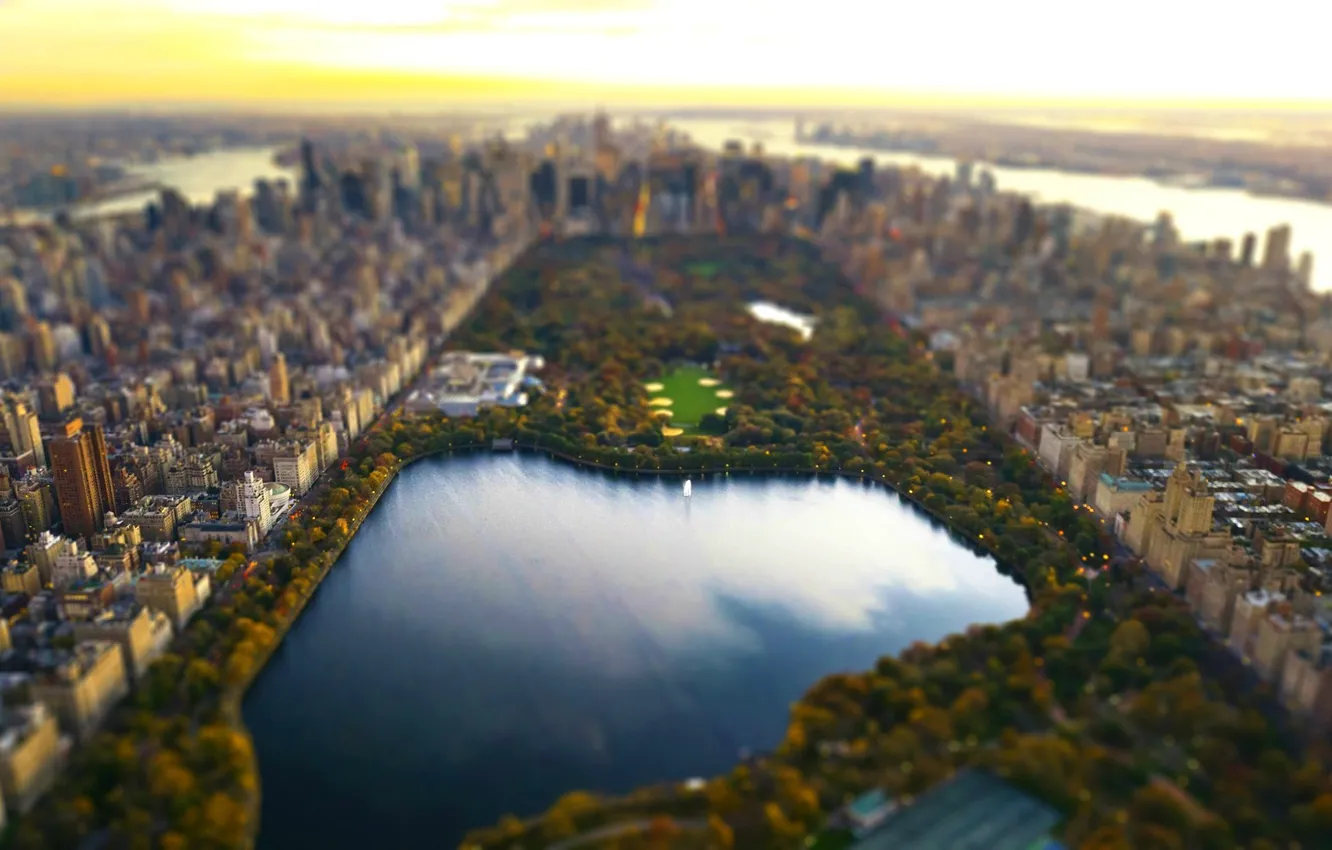Photo wallpaper effect, America, tilt shift, Central Park, filter, Central Park