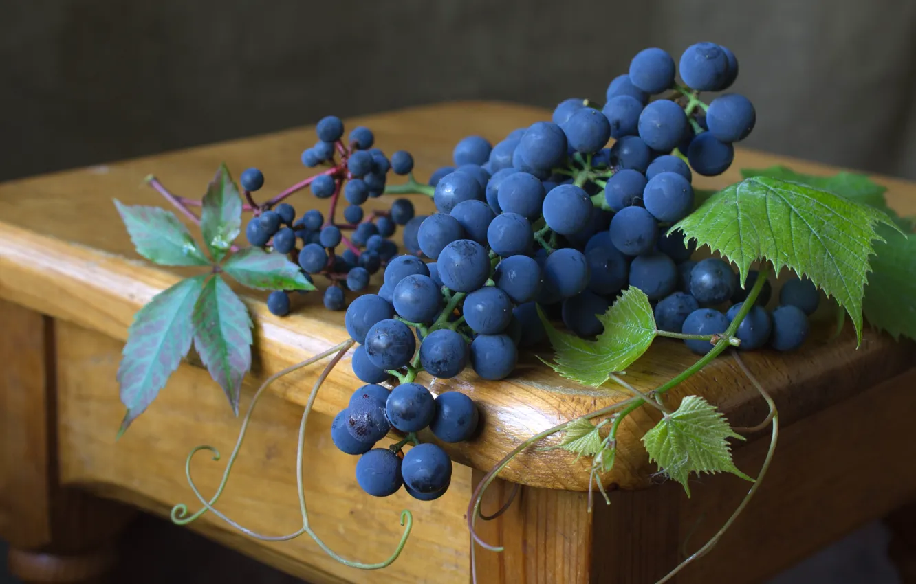 Photo wallpaper blue, berries, grapes
