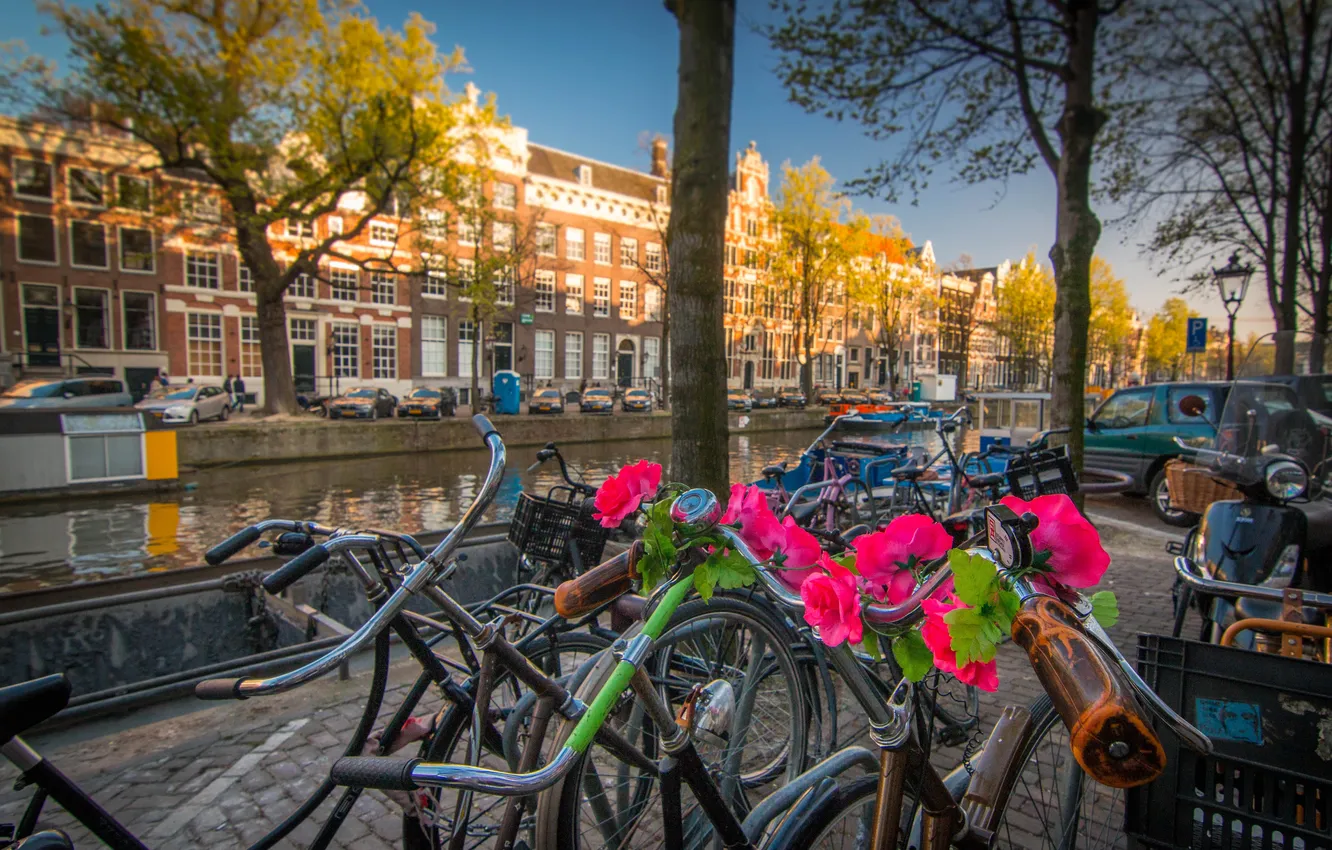 Photo wallpaper flowers, bike, building, Amsterdam, Netherlands, Holland, water channel