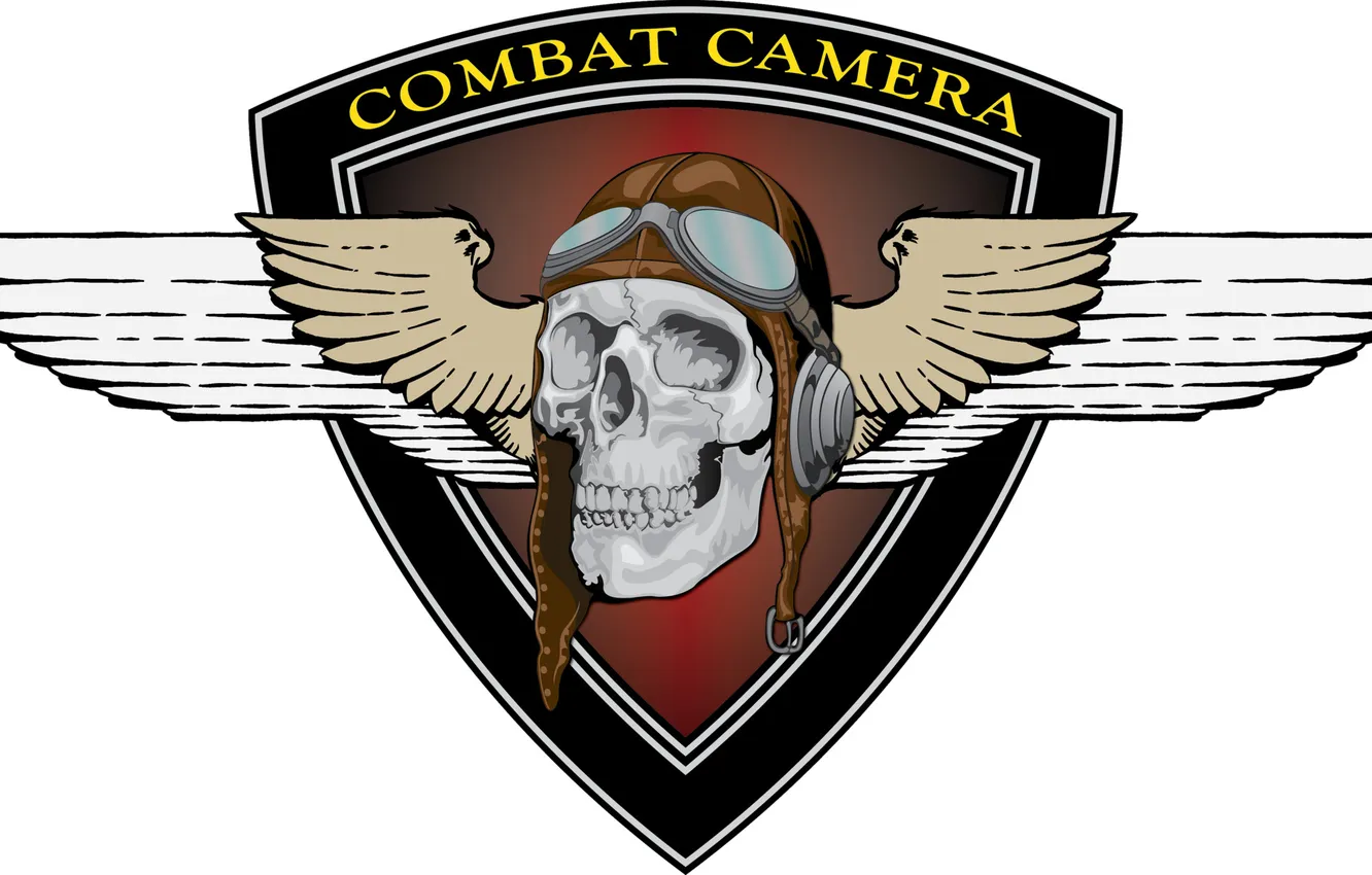 Photo wallpaper skull, logo, emblem, Combat Camera